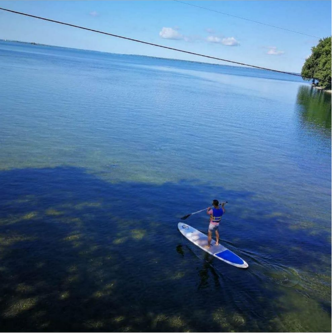 paddle